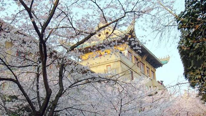 人生就是博-尊龙凯时(中国优质)股份有限公司