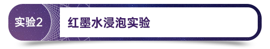 人生就是博-尊龙凯时(中国优质)股份有限公司